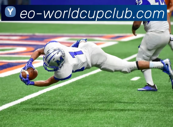 世界杯在线投注APP 封面图